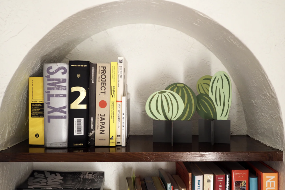 paper cactus in book shelf